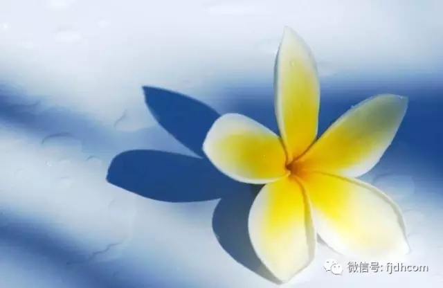 ��εõ����������ϸ���ļӳֻ���?