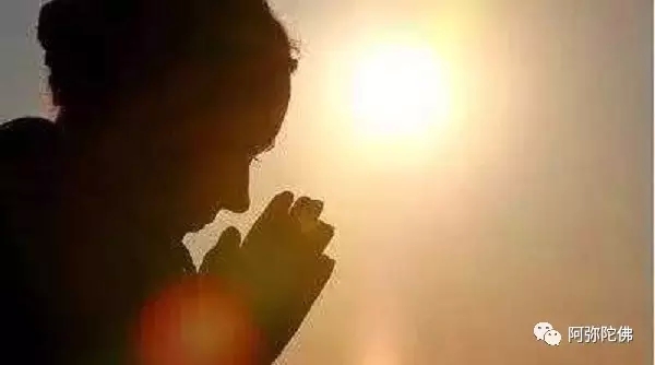 �����˾��Ƿ�