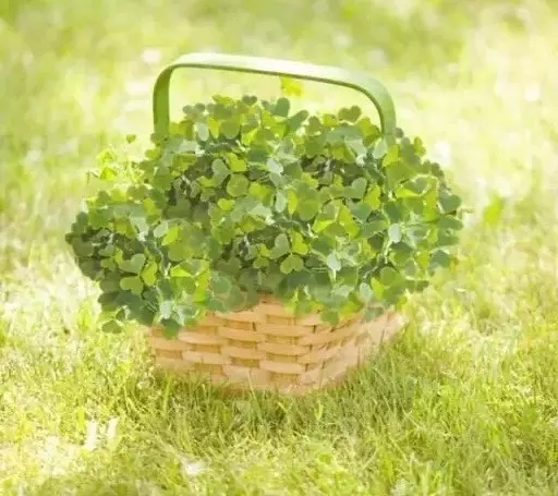 ���Ҹ�����Դ�����