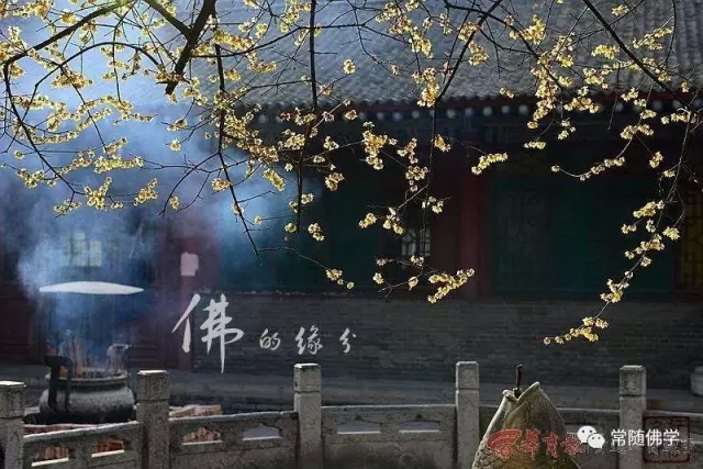 缘分真的很奇妙!为何一见到他就感觉很亲切 缘分真的很奇妙!为何一见到他就感觉很亲切