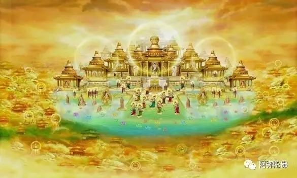 对佛所说的净土一法,要深信不疑 对佛所说的净土一法,要深信不疑