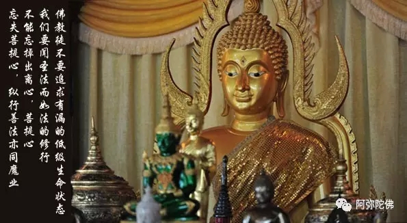 ��Ը����Ҫ��ʵ���ճ�������