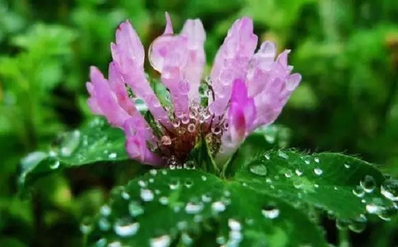 善业与恶业_能不能互相抵消? 善业与恶业_能不能互相抵消?