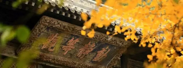 ѧ��������ŵ���ʲô�ط���