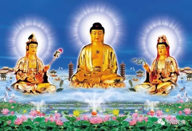 了解阿弥陀佛之前,先了解他的特色 了解阿弥陀佛之前,先了解他的特色