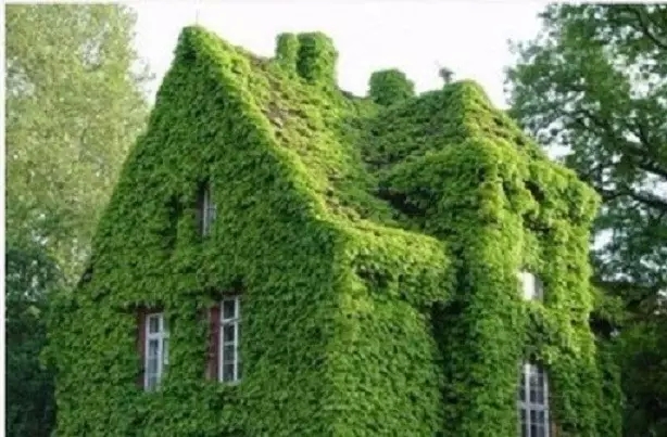 当没有能力改变恶缘的时候改怎么办? 当没有能力改变恶缘的时候改怎么办?