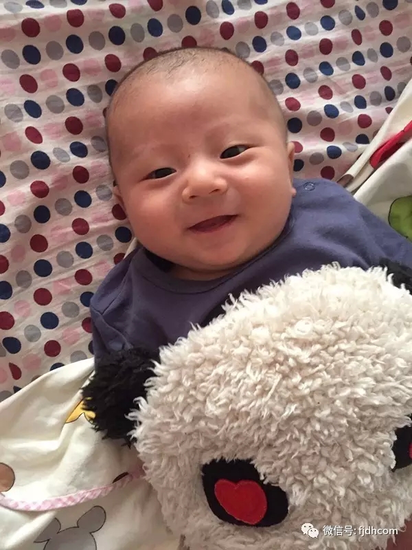 һλ��ʳ�����̥���ر������ɼǣ��Ҹ�������