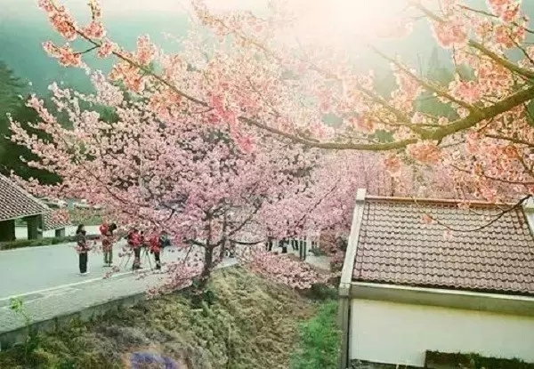 ����ô�Ҹ�Ϊʲô��Ҫѧ��