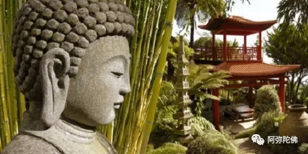 念佛能创造两种强大的力量 念佛能创造两种强大的力量