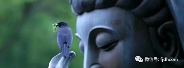 ��������������Ҫ��һ�����ɡ���