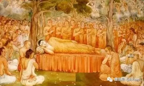 ����������֮ǰ��˵��Щʲô��