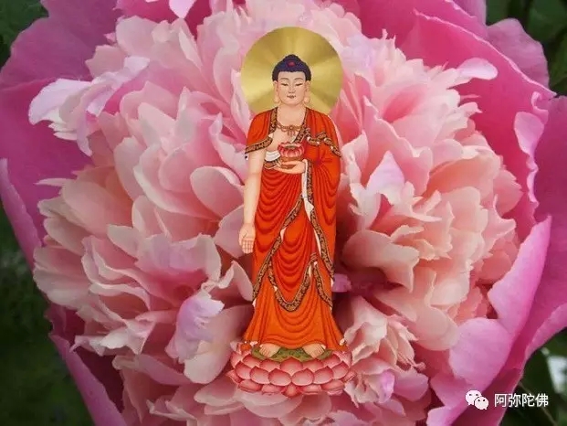 �����ӷ������ǩ�ĺ�ͬ