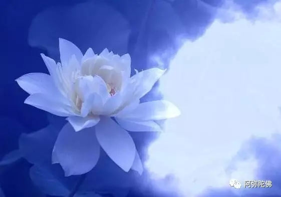 在家念佛的三项事 在家念佛的三项事