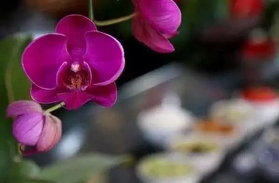 心灵自由,就会当下自在! 心灵自由,就会当下自在!