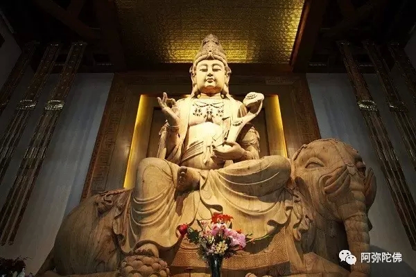 ������ʮ��Ը�����