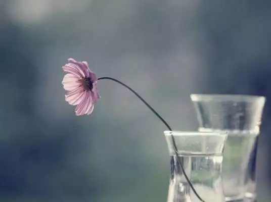 �����Ȼǰ����ע����Ϊ�λ��ܸı������أ�