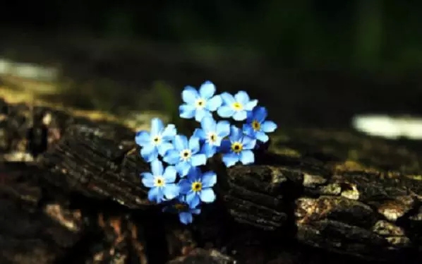 һ��ҪԤ�����У����п����ϣ��