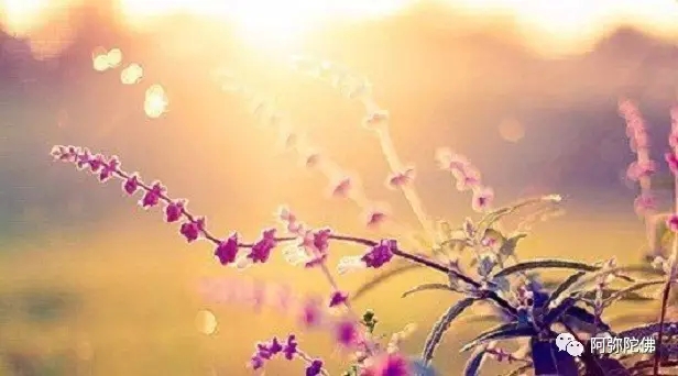 ����רע���ʱΪ�λ����