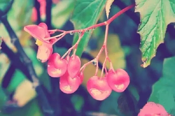 ѧ�������׷���Щ�������