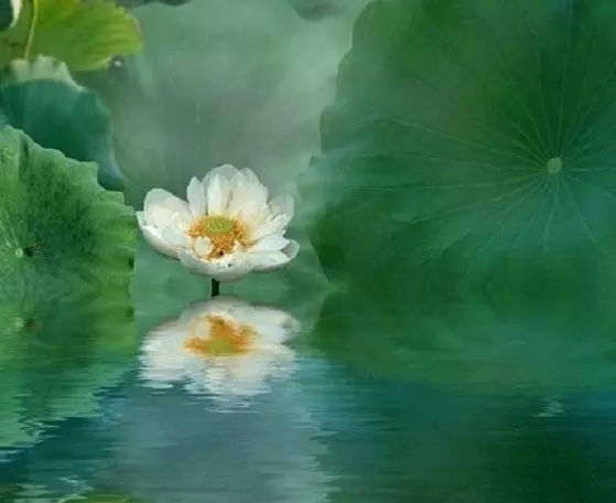 �����������������Լ�