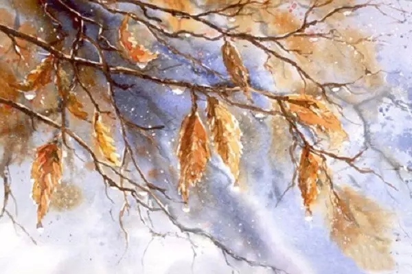 �����ж��û�кú���·���úóԷ��ˣ�