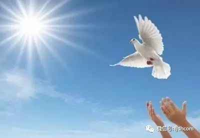 ͬ����������ʩ���ҽ����ţ�����������ٵô�Ƹ���