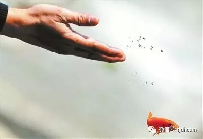 ͬ����������ʩ���ҽ����ţ�����������ٵô�Ƹ���