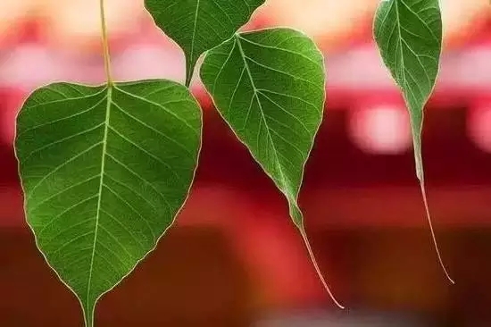 ʲô���ľ͹�ʲô����