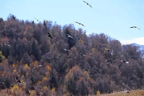 �÷𷨸����㡰����˭��