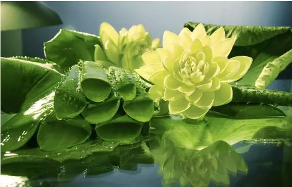 善良里藏着你的贵人和运气 善良里藏着你的贵人和运气