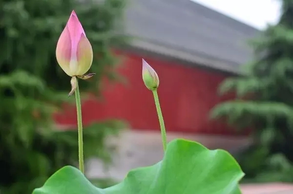 ҵ�����Կ�Ը���ı���