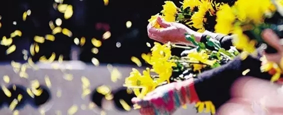 每年清明节扫墓,这些禁忌你知道吗? 每年清明节扫墓,这些禁忌你知道吗?