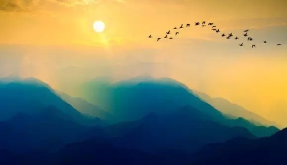 ����ǿ������Ÿ�����