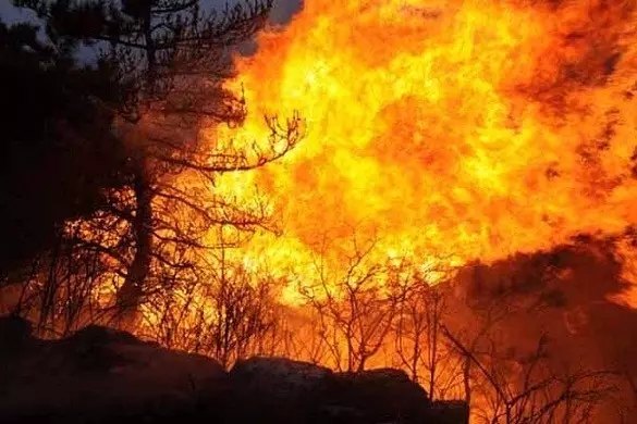 什么叫“火烧功德林”? 什么叫“火烧功德林”?