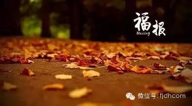 Ϊʲô�𷨵ĵ���������ȴ������?