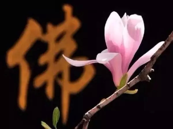 什么都想要会累死你的 什么都想要会累死你的