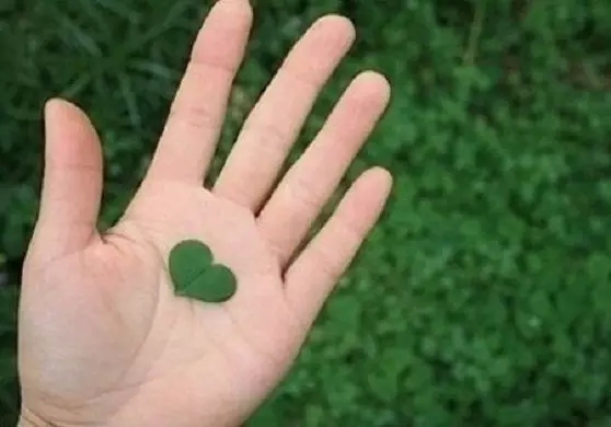 ��������Ҫ����һ������