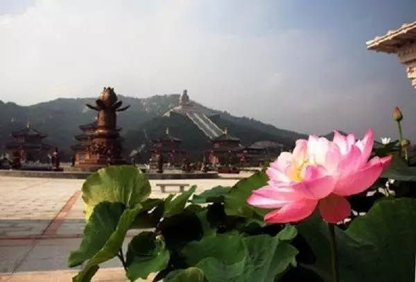 ѧ����Ϊ��������������̸ʲô���µģ�