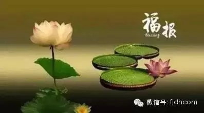 �ִ��˵ı�Ӧ��Ϊʲô���ÿ�_�������ͣ�