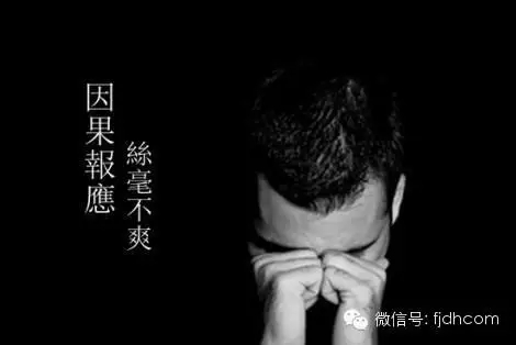 �ִ��˵ı�Ӧ��Ϊʲô���ÿ�_�������ͣ�