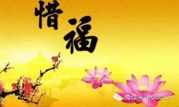 �ִ��˵ı�Ӧ��Ϊʲô���ÿ�_�������ͣ�