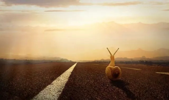 ����Ϊ���������⣿