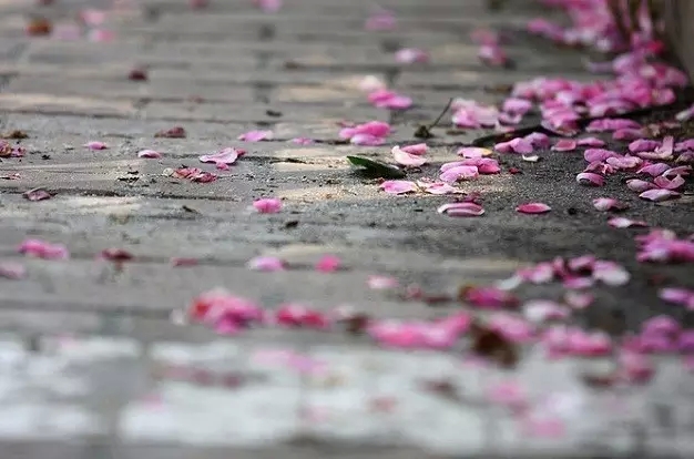 不要等到一切结束时再去后悔人生的虚度 不要等到一切结束时再去后悔人生的虚度