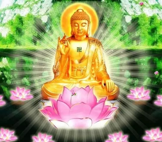 念佛好时机 念佛好时机