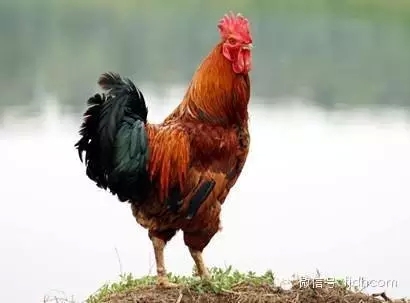 �����Ϻ������ܣ��ۼ���׶�����������