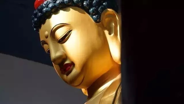 �����ĳ���