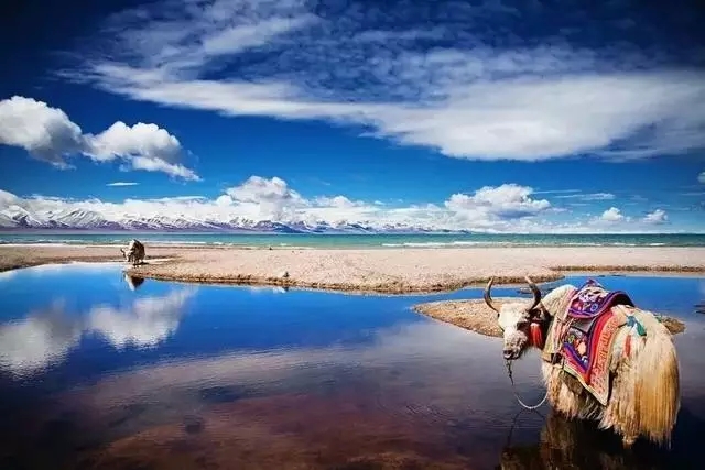 ���˵�̰�������ɼ��ʺ����й���