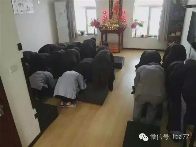 东北首家免费佛家念佛养老院欢迎您回家! 东北首家免费佛家念佛养老院欢迎您回家!