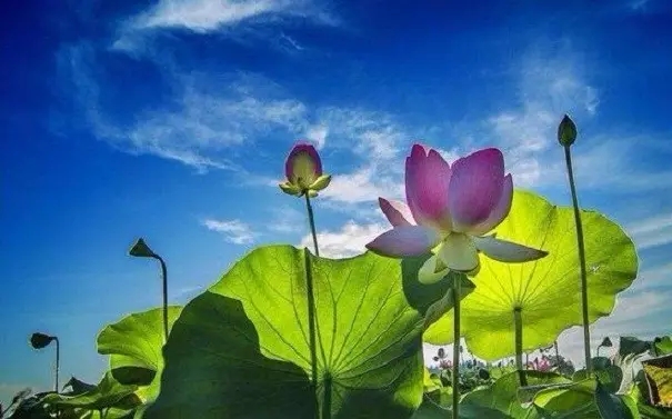 ��������������˷��㼴���Լ�����