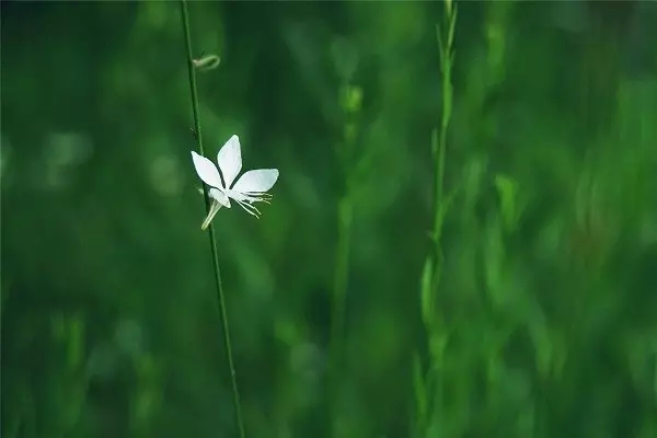 ΪʲôҪ�����鷳�أ�